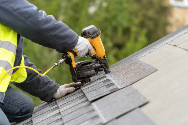 Best Metal Roofing Installation  in Valdez, AK